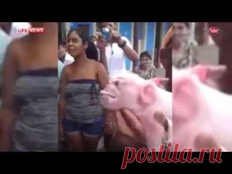 интересные факты | Записи в рубрике интересные факты | Дневник ЛЮДМИЛКА...