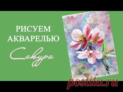 Рисуем сакуру акварелью. Демонстрация процесса рисования
