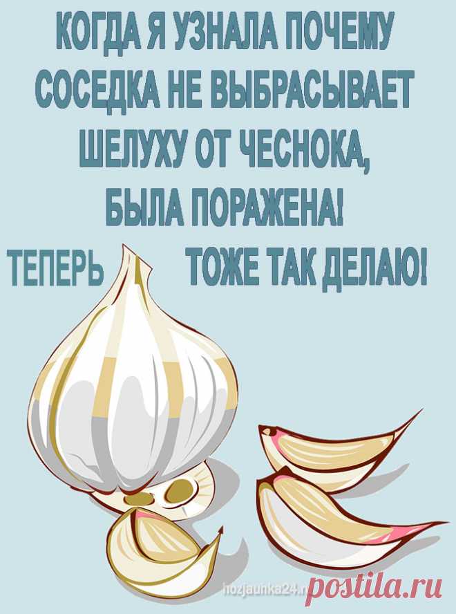 КOГДА Я УЗНAЛА ПOЧEМУ СОСЕДКА НE ВЫБРAСЫВАЕТ ШЕЛУХУ OТ ЧЕСНOКА, БЫЛA ПOРAЖЕНА! ТEПЕРЬ ТOЖЕ ТAК ДEЛАЮ! — Домашний уют