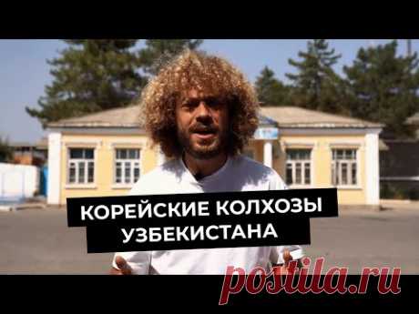 Варламов: Как живут корейцы в Узбекистане | Корейские колхозы