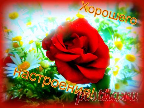 Желаю всем!