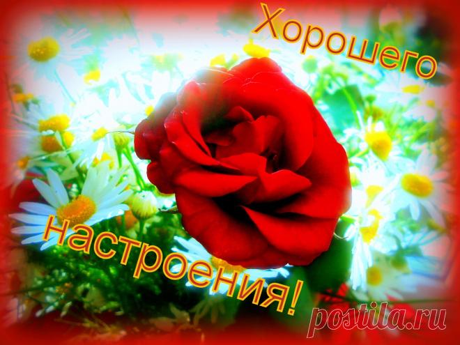 Желаю всем!