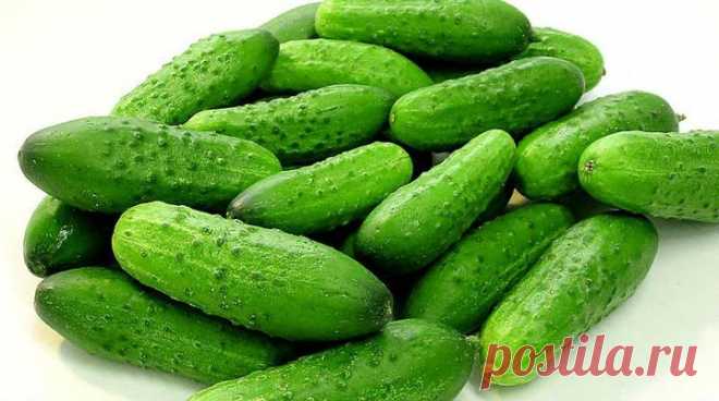 Топ-20 продуктов, сжигающих жиры и регулирующих обмен веществ