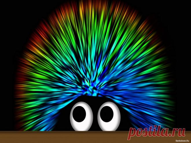 Ёжик в цветах