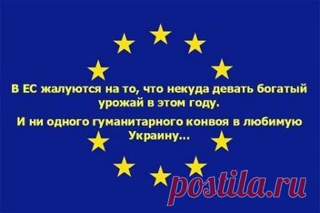 Одноклассники