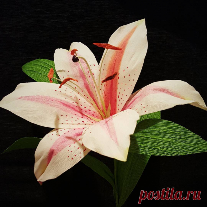 I've been asked what my 'flower avatar' would be.  As much as I desperately wanted it to be the rose or  jasmine, it's this one: an Oriental hybrid from California, she's freckled, prone to turning red, messy, and at times obnoxious. You rarely find her in fancy arrangements - more often she's lurking among downmarket flowers at the local super. (Also, I can find Polaris in a second.  I love stargazing!) What is your floral avatar?  #lilium #stargazerlily #crepepaper #lily