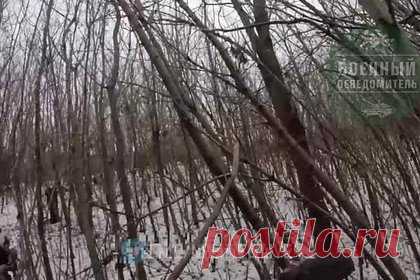 Появилось видео с подорвавшим себя во избежание плена ВСУ северокорейским бойцом