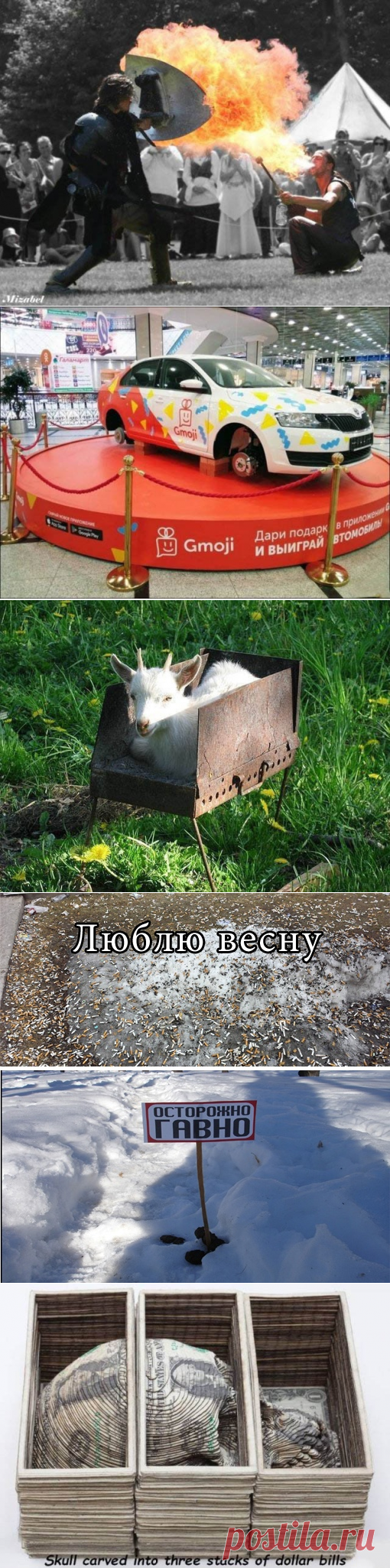 Подборка прикольных картинок и фотографий-244