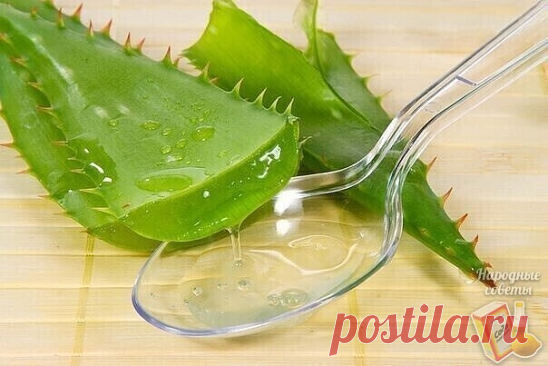 Применение алоэ для лица

.