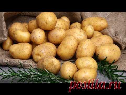 2 рецепта ВКУСНОГО КАРТОФЕЛЯ в ДУХОВКЕ