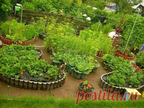 французский огород, сделанный своими руками