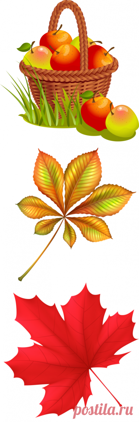 Осенний клипарт) | Записи в рубрике Осенний клипарт) | Дневник rosinka7304