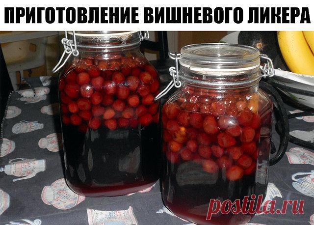 Приготовление вишневого ликера из 3-х ингредиентов! Густой ароматный напиток, с приятной кислинкой.

Какие же дамские посиделки без согревающего ягодного ликера? 
А если еще и напиток приготовлен гостеприимной хозяйкой с любовью, то такие дружеские встречи хочется повторять снова и снова. 

Поэтому стоит вооружиться рецептом домашнего вишневого ликера. 
Густой ароматный напиток получается сладким, но с приятной кислинкой. 
Если не удалять из вишен косточки, как мы и поступ...