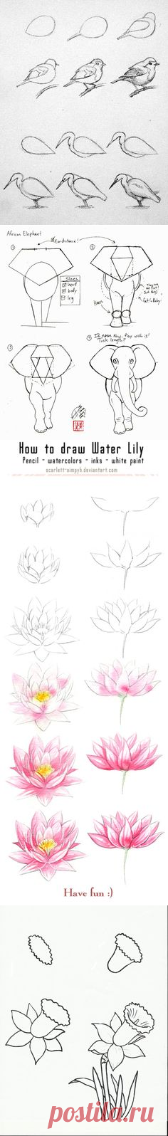 (116) Pinterest • Всемирный каталог идей