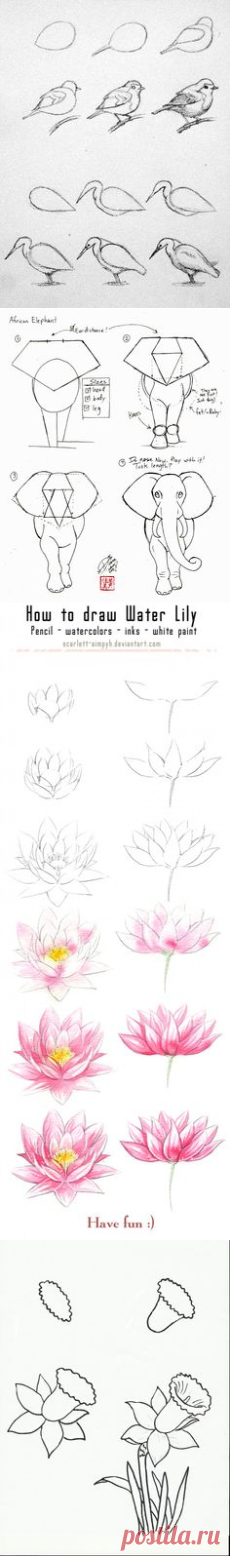 (116) Pinterest • Всемирный каталог идей