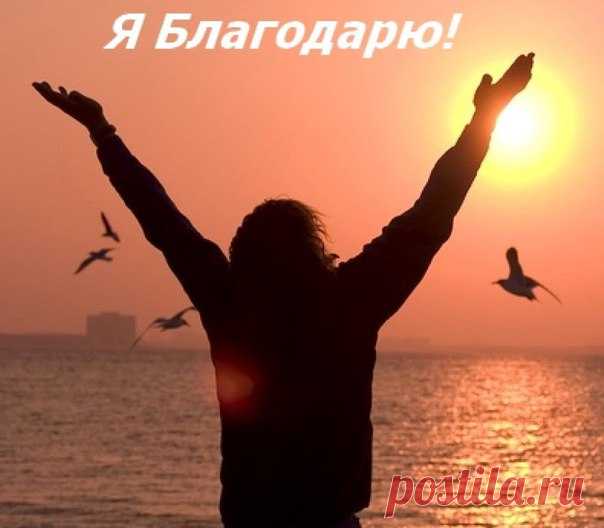 КРУГ БЛАГОДАРНОСТИ... 
Вселенная, Высшие силы сполна наделили многих из нас своими дарами. Любовь, дружба, удача … Ах, да мало ли еще благ, которые, кажутся нам естественными составляющими жизни. А ведь это не так…
У любог…