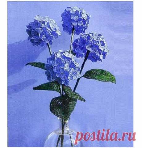 Голубая гортензия / Цветы / Biserok.org