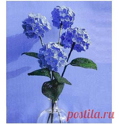Голубая гортензия / Цветы / Biserok.org