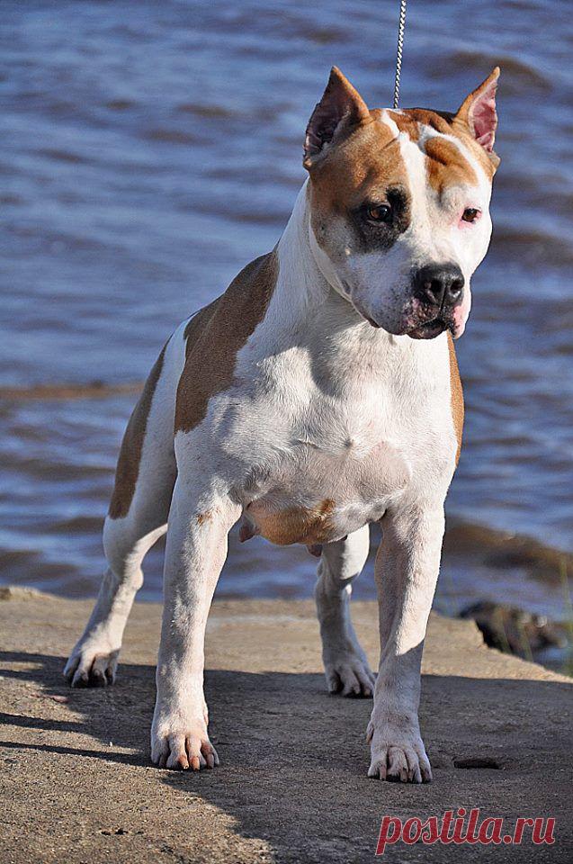 VICTORY WAY DEARLY BELOVED