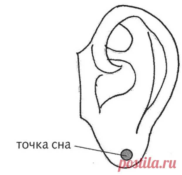 Точка сна на ушах для того, чтобы быстро заснуть - мне ничего больше не нужно. Расскажу, как использую и где находится - ПолонСил.ру - социальная сеть здоровья - 18 октября - 43811302620 - Медиаплатформа МирТесен