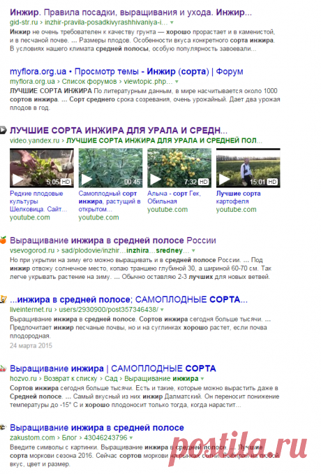 ЛУЧШИЕ СОРТА ИНЖИРА ДЛЯ УРАЛА И СРЕДНЕЙ ПОЛОСЫ — Яндекс: нашлось 113 тыс. ответов