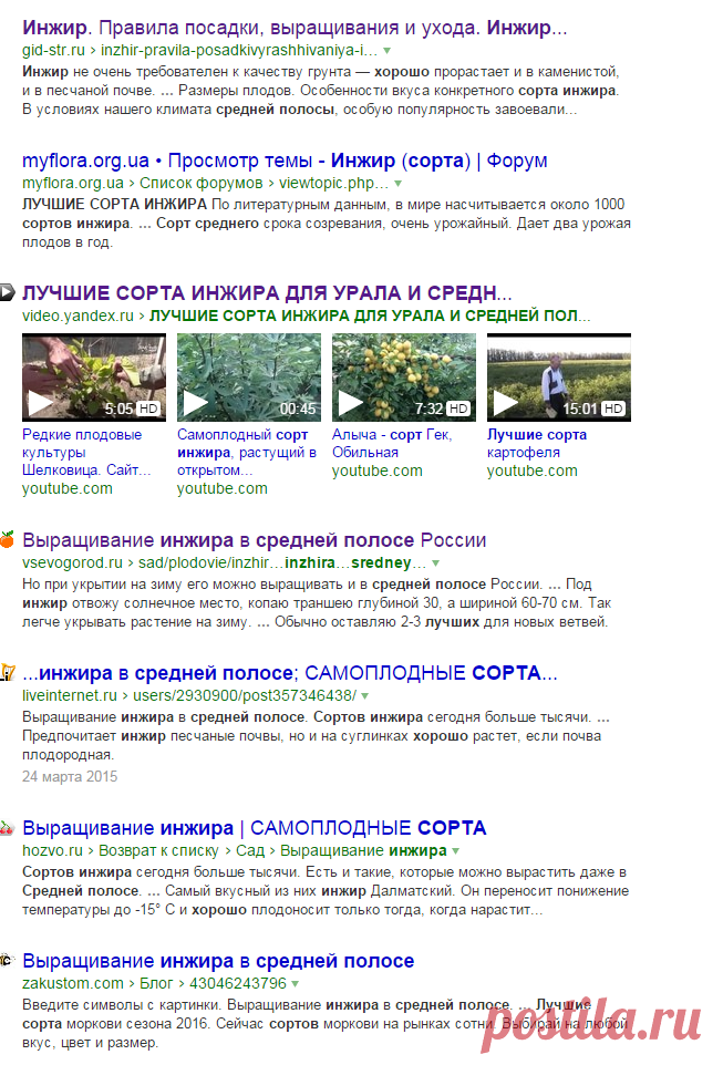 ЛУЧШИЕ СОРТА ИНЖИРА ДЛЯ УРАЛА И СРЕДНЕЙ ПОЛОСЫ — Яндекс: нашлось 113 тыс. ответов