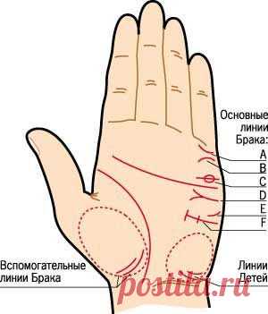 КОГДА Я ВЫЙДУ ЗАМУЖ?      Об этом расскажут четкие линии Брака, которые проходят горизонтально по краю ладони на стороне мизинца и расп...