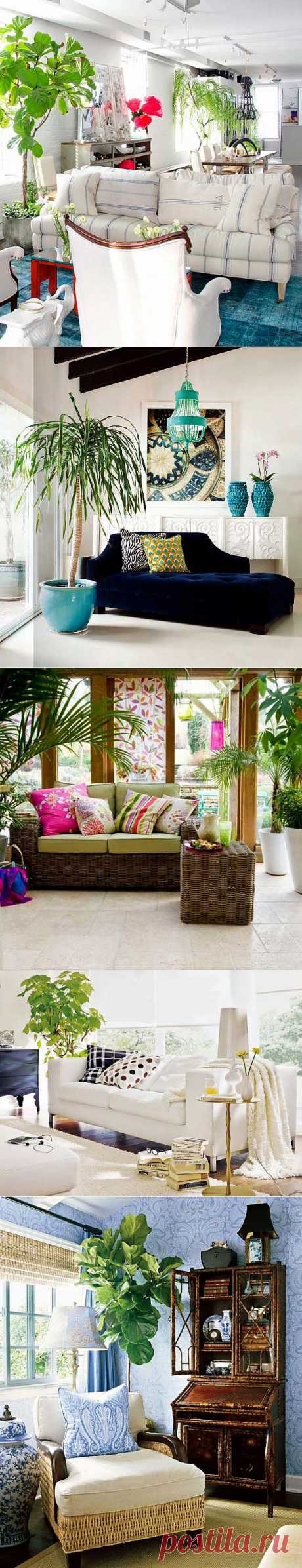 Фитодизайн помещений – живые растения освежают и украшают интерьер.