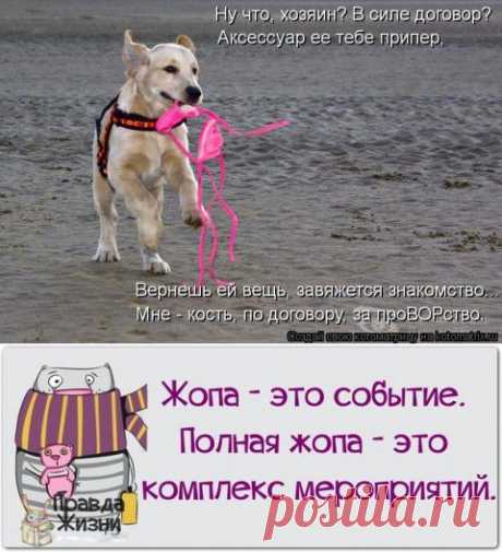 Выходные УДАЛИСЬ!!!Потеряны УМ, честь, совесть и лифчик… Лифчик особенно жалко))) | Сайт Союза Юмористов