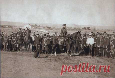 Взятие Плевны: великая победа русских, которую забыли 


10 декабря 1877 года в ходе русско-турецкой войны 1877-1878 гг. русские войска после тяжелой осады овладели Плевной, вынудив капитулировать 40-тысячную турецкую армию. Это была важная для России по…