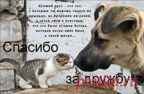 Интересные новости