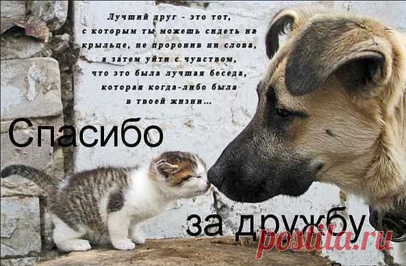 Интересные новости