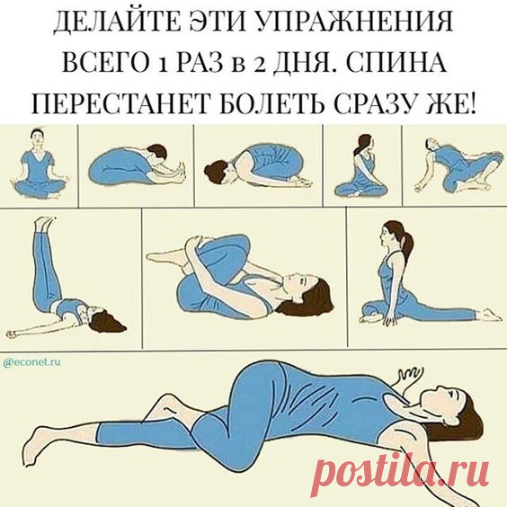 (1) Pinterest
