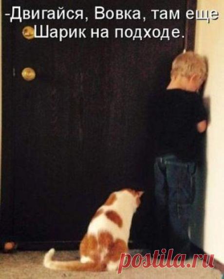 Одноклассники