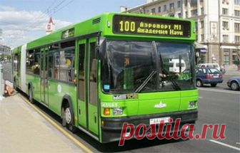 Задача для белорусских пятиклассников, с которой справится не каждый взрослый А вы решите?