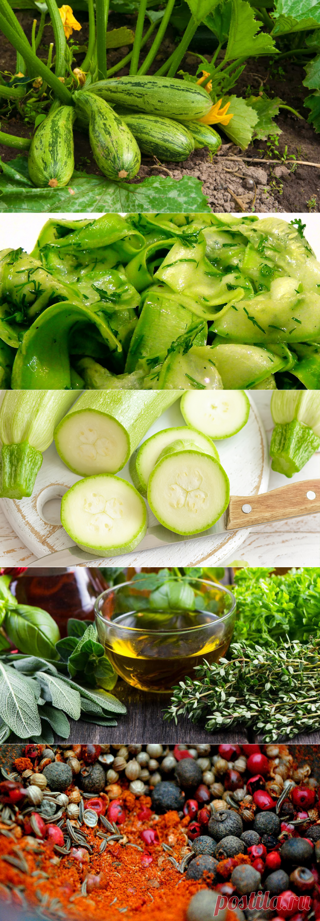 Салат из кабачков: 9 Вкусных Рецептов на Зиму «Пальчики оближешь»