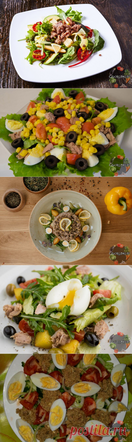 Салат с тунцом консервированным – ТОП лучших рецептов, самые вкусные и быстрые + фото