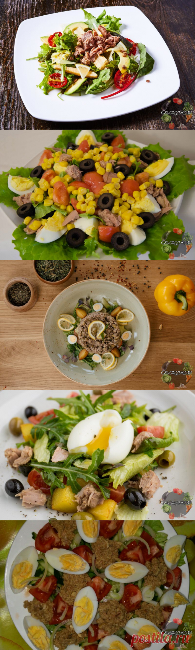Салат с тунцом консервированным – ТОП лучших рецептов, самые вкусные и быстрые + фото