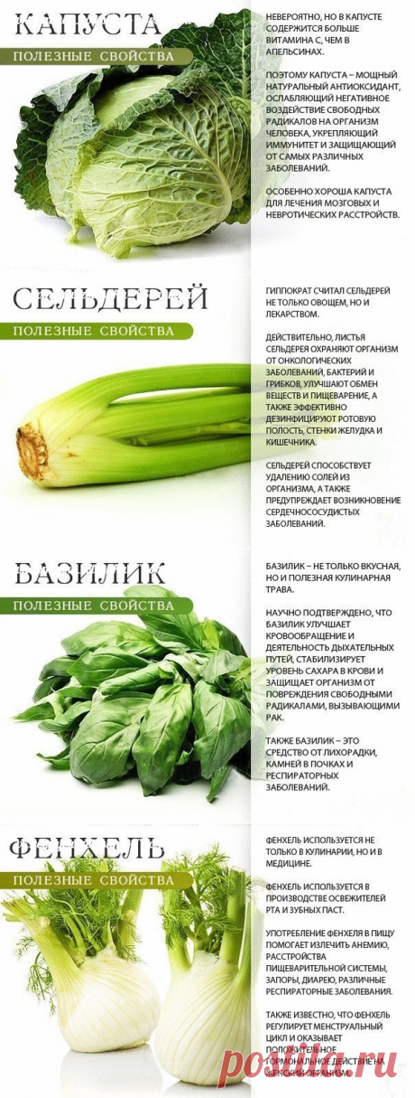 Чем полезны разные виды зелени | Делимся советами