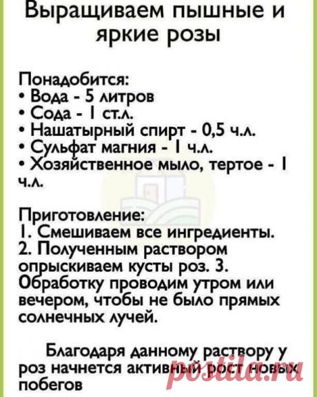 Сохраните себе!