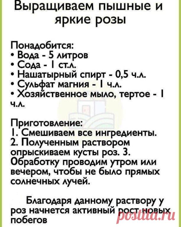 Сохраните себе!