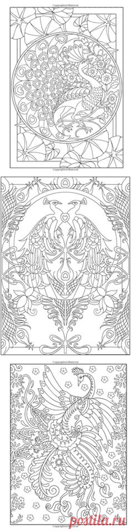 (167) Creative Haven Peacock Designs Coloring Book | Woodburning