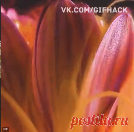 Десять симптомов менингита, которые должен знать каждый родитель!⛔⚠