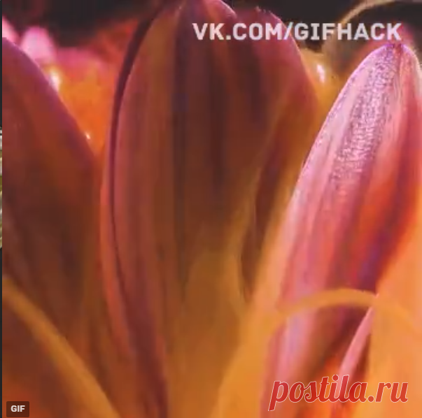 Десять симптомов менингита, которые должен знать каждый родитель!⛔⚠