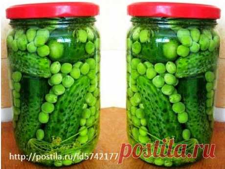 ОГУРЧИКИ С ЗЕЛЕНЫМ ГОРОШКОМ