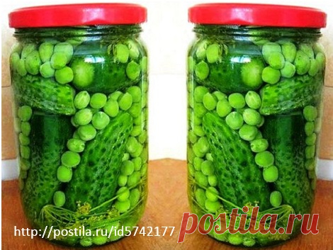 ОГУРЧИКИ С ЗЕЛЕНЫМ ГОРОШКОМ