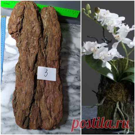 Орхидеи Ржев Юлия Блок кора лиственницы для орхидей