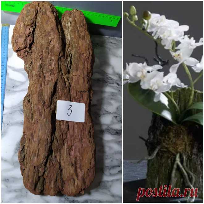 Орхидеи Ржев Юлия Блок кора лиственницы для орхидей