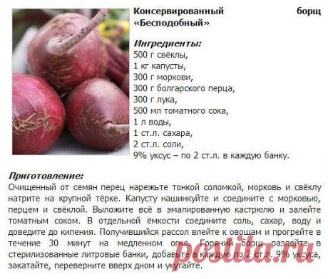 Готовим в духовке! + вся кулинария мира!
Ирина Мохонова