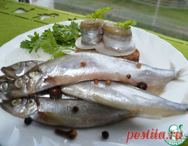Мойва малосольная - кулинарный рецепт
